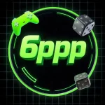 6PPP Professional profile picture