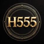 H555 Game Profile Screen Account Dashboard Pakistan