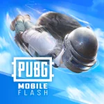PUBG Mobile flash game profile screen and player customization dashboard