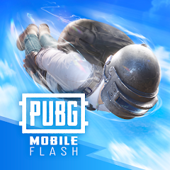 PUBG Mobile flash game profile screen and player customization dashboard